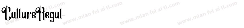 CultureRegul字体转换