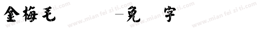 金梅毛国际码字体转换