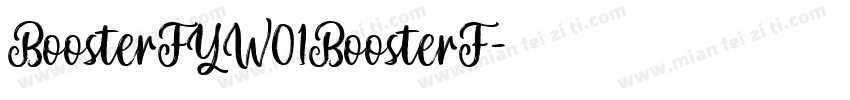 BoosterFYW01BoosterF字体转换