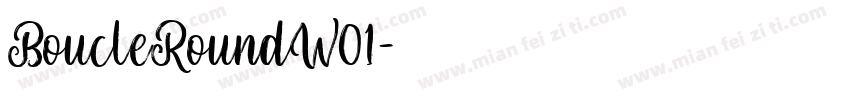 BoucleRoundW01字体转换