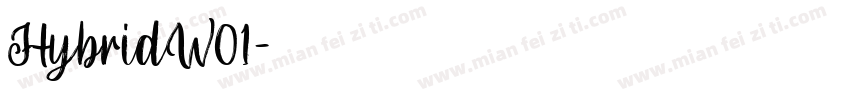HybridW01字体转换
