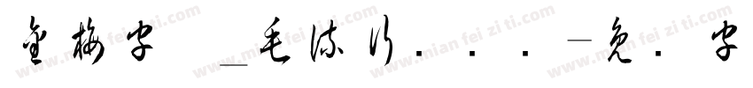 金梅字体_毛流行国际码字体转换