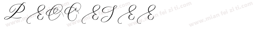 潘通PEOCESEE字体转换