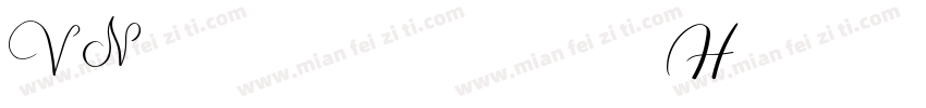 VNpalatinH字体转换