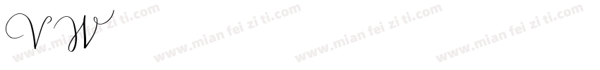 VWproduct字体转换