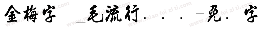 金梅字体_毛流行国际码字体转换