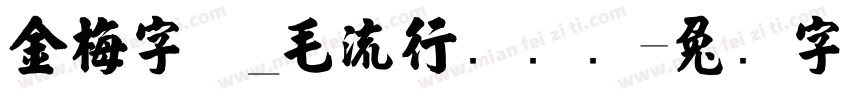 金梅字体_毛流行国际码字体转换