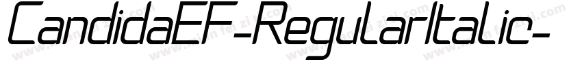 CandidaEF-RegularItalic字体转换