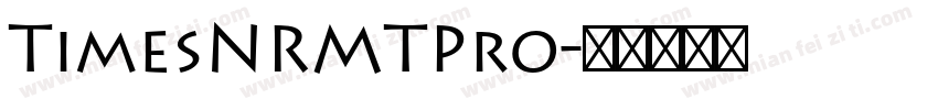 TimesNRMTPro字体转换
