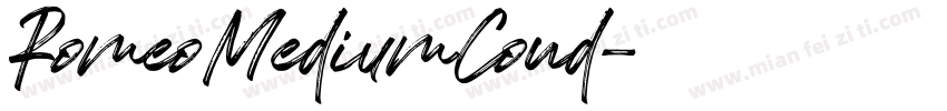 RomeoMediumCond字体转换