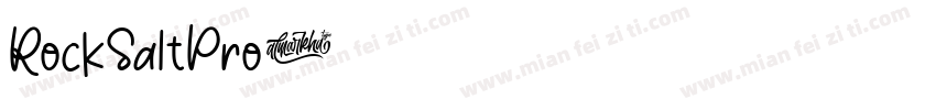 RockSaltPro字体转换