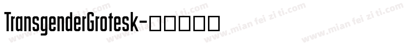 TransgenderGrotesk字体转换