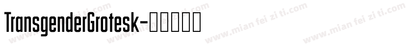 TransgenderGrotesk字体转换
