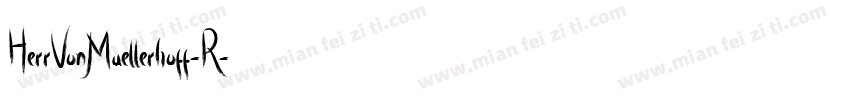 HerrVonMuellerhoff-R字体转换
