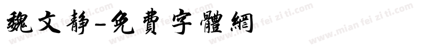 魏文静字体转换
