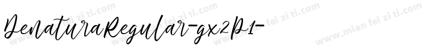 DenaturaRegular-gx2P1字体转换