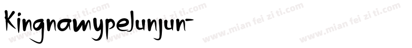 KingnamypeJunjun字体转换