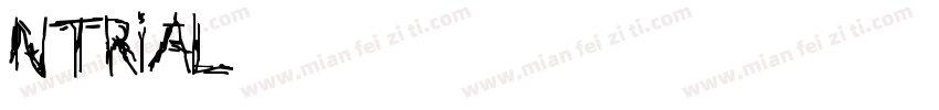 Nettizen_TRIAL字体转换