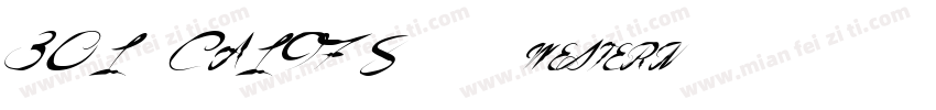 301-CA1978-普通(western)字体转换