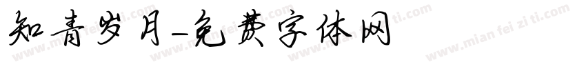 知青岁月字体转换