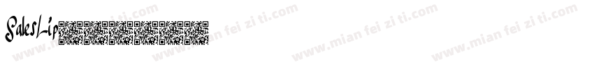 SalesLip字体转换