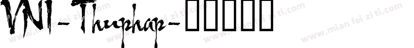 VNI-Thuphap字体转换