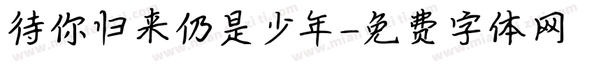 待你归来仍是少年字体转换