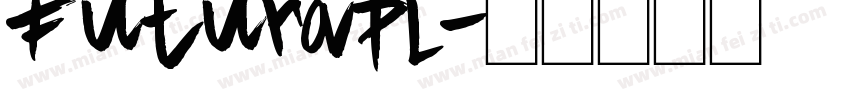 FuturaPL字体转换