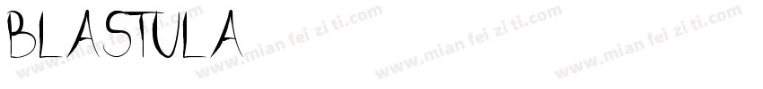 Blastula字体转换