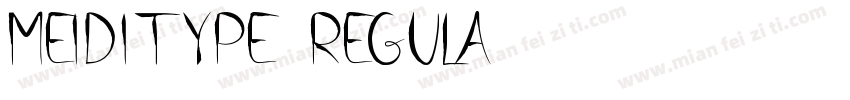 MEIDITYPE-REGULA字体转换