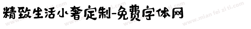 精致生活小奢定制字体转换