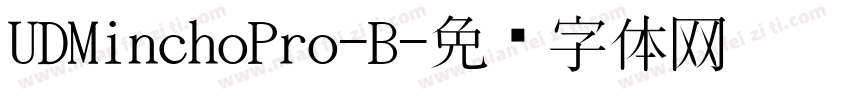 UDMinchoPro-B字体转换