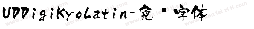 UDDigiKyoLatin字体转换