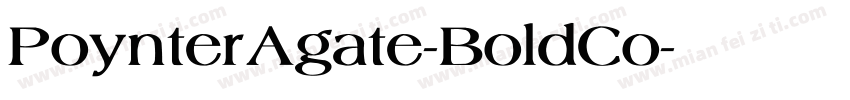 PoynterAgate-BoldCo字体转换