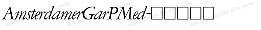AmsterdamerGarPMed字体转换