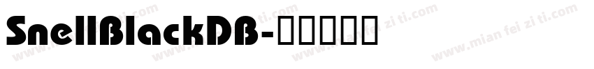 SnellBlackDB字体转换