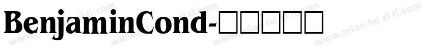 BenjaminCond字体转换