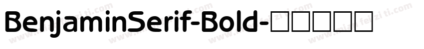 BenjaminSerif-Bold字体转换
