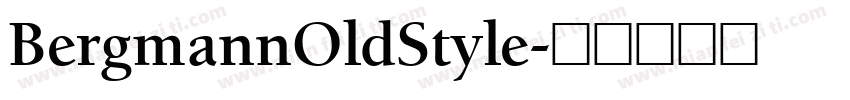 BergmannOldStyle字体转换