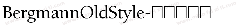 BergmannOldStyle字体转换