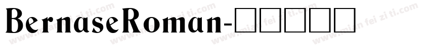 BernaseRoman字体转换