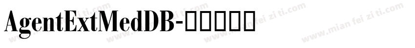 AgentExtMedDB字体转换