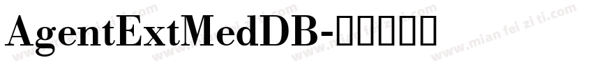 AgentExtMedDB字体转换