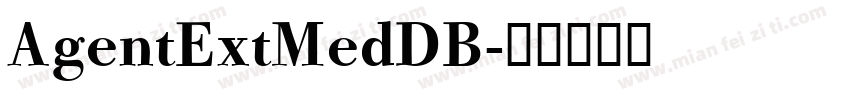 AgentExtMedDB字体转换