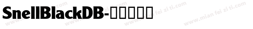 SnellBlackDB字体转换