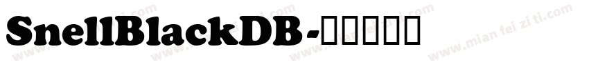 SnellBlackDB字体转换