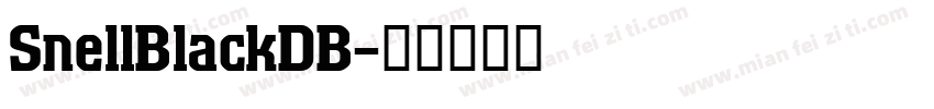 SnellBlackDB字体转换