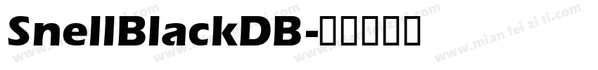 SnellBlackDB字体转换
