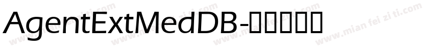 AgentExtMedDB字体转换