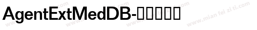 AgentExtMedDB字体转换